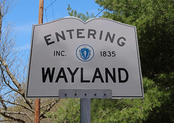 wayland