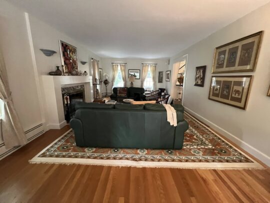 chestnut hill interior painting2