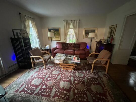 chestnut hill interior painting3