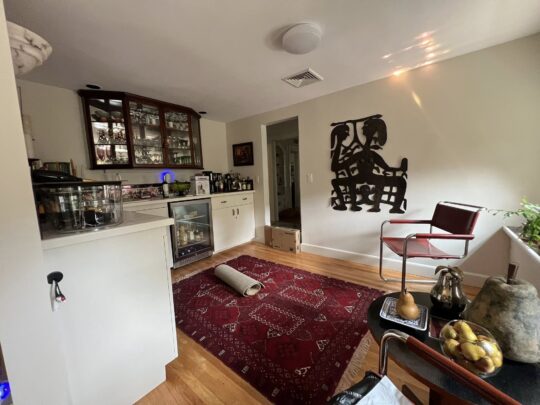 chestnut hill interior painting6