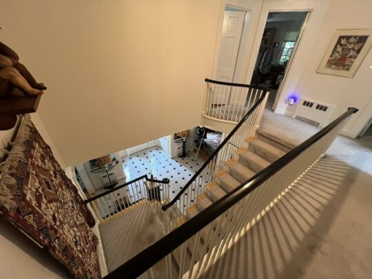 chestnut hill interior painting9